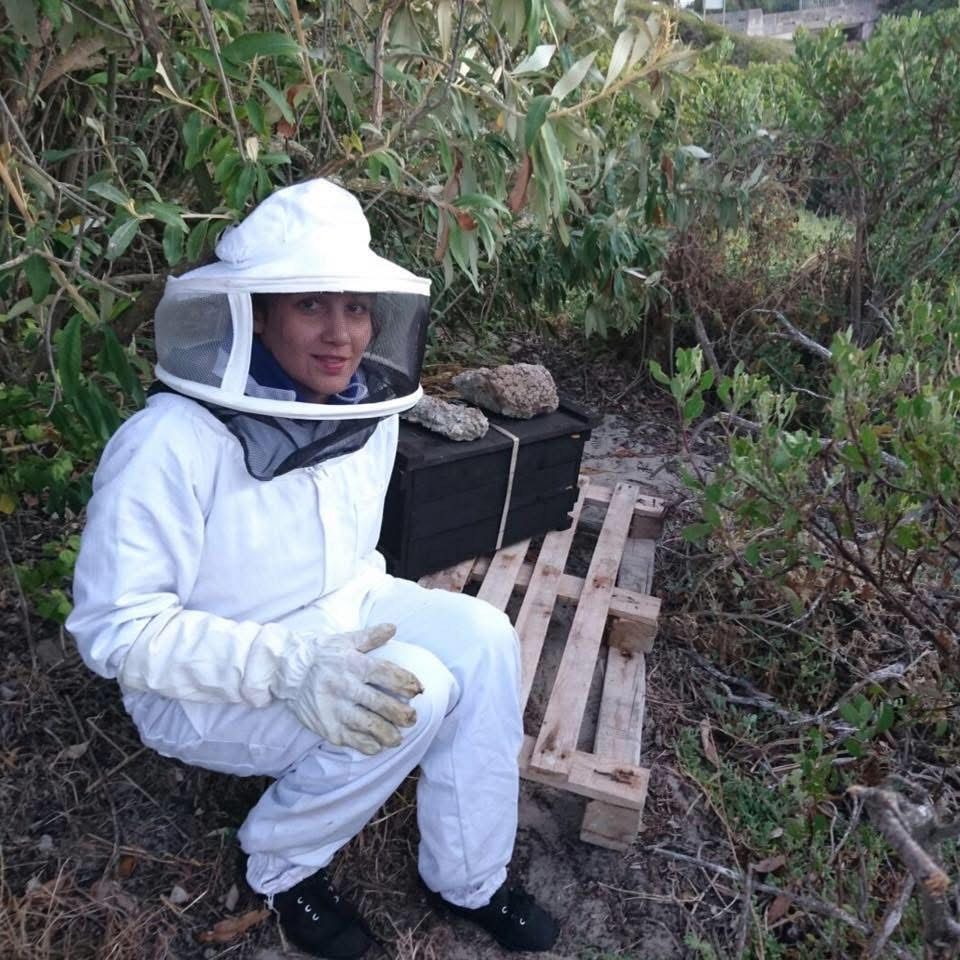 Organic Honey Harvesting a Decade Of Western Cape Honey Harvesting Experience